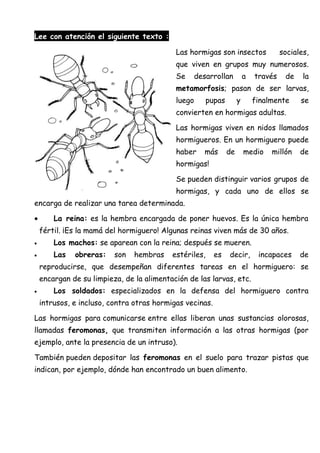 Lee con atención el siguiente texto :
Las hormigas son insectos sociales,
que viven en grupos muy numerosos.
Se desarrollan a través de la
metamorfosis; pasan de ser larvas,
luego pupas y finalmente se
convierten en hormigas adultas.
Las hormigas viven en nidos llamados
hormigueros. En un hormiguero puede
haber más de medio millón de
hormigas!
Se pueden distinguir varios grupos de
hormigas, y cada uno de ellos se
encarga de realizar una tarea determinada.
• La reina: es la hembra encargada de poner huevos. Es la única hembra
fértil. ¡Es la mamá del hormiguero! Algunas reinas viven más de 30 años.
• Los machos: se aparean con la reina; después se mueren.
• Las obreras: son hembras estériles, es decir, incapaces de
reproducirse, que desempeñan diferentes tareas en el hormiguero: se
encargan de su limpieza, de la alimentación de las larvas, etc.
• Los soldados: especializados en la defensa del hormiguero contra
intrusos, e incluso, contra otras hormigas vecinas.
Las hormigas para comunicarse entre ellas liberan unas sustancias olorosas,
llamadas feromonas, que transmiten información a las otras hormigas (por
ejemplo, ante la presencia de un intruso).
También pueden depositar las feromonas en el suelo para trazar pistas que
indican, por ejemplo, dónde han encontrado un buen alimento.
 