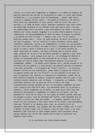 colina, en 2 horas más llegaremos a “Vegachi”, el nombre de Vegachi me
pareció familiar más me dio un escalofrió al saber lo lejos que estaba
de Medellín, ¿- p-a-aayasa? Dije tartamudeando, -¿dime? ¿Qué pasa?,
¿conoces a alguien de por aquí?... Se quedó en silencio y me sonrió,-
esta noche nos quedaremos en esta casita, debe de vivir tan solo 1
persona, y ya debe de estar vieja, podremos quedarnos aquí esta noche…
me quede algo perplejo al no entender bien que quería decir con que
nos quedaríamos allí esa noche y que solo debería de haber 1 persona y
debería ser vieja. Cuando llegamos a la casita efectivamente vivía un
campesinito con aproximadamente 55 años de edad, la payasa lo saludo,
y yo detrás de ella le dije – “ buenas… eto… p-or fa-vor podría
dejarnos quedar aquí... esta… no pude terminar de decir la oración, al
ver que la payasa , con su cuchillo en mano arremetió contra aquel
indefenso campesino,- grita y lo acompañaras, lo dijo con una mirada y
una vos fría como el hielo, me tape la boca y simplemente decidí mirar
hacia un lado y pasar a dentro de la casa… a los pocos minutos de
haber enterrado el cuerpo , me dijo sonriendo que si quería comer
algo, después de lo que vi se me había quitado el apetito y aun tenía
algo de nauseas , pero aunque dije que no , mi estómago me delato al
soltar un estruendo desde lo más profundo de mis tripas, ya estaba
asustado por qué no sabía cómo reaccionaría aquella chica que me
acompañaba, además .. de donde salió alguien así?, porque estaba en la
carretera de esa manera y a esas horas?, me observo durante un momento
y me dijo sonriendo – te escapaste de “ellos” cierto?... un silencio
matador ocurrió en esa habitación, ¿Cómo sabia la payasa de “ellos”?,
la payasa tendrá que ver con “ellos”?, en ese momento se me puso la
piel de gallina, mis piernas ni siquiera me respondían, quede con la
boca abierta tratando de modular cualquier palabra mas era como si mis
cuerdas vocales hubieran sido cortadas… - tranquilo, yo también , dijo
sonriendo mientras con su mano me cerro la boca, fue algo
tranquilizante porque después de eso, mi psicópata compañera de pelo
rojo, parecía una niña de 8 años, sus moretones ahora si le dolían y
comenzó a llorar tapándose en mi pecho, no pude hacer otra cosa más
abrazarla fuertemente y tapándole la cabeza con mi pecho, así nos
quedamos el resto de la noche, no fui capaz de dormir porque cada que
la alejaba un poco, ella me abrazaba más fuerte, como deseando que no
la fuera a soltar por nada del mundo….. La payasa, aquella chica que
conocí en esa carretera a las altas horas de la noche, cuya vestimenta
como una “lolita” y su hermoso pelo rojo, se convertiría en mi
salvadora años después, mas siempre hay que tener cuidado, por a veces
a Hanyuu le gusta jugar con la payasa a que te como ratón, y en esos
momentos, más vale que no haya ningún objeto corto punzante cerca,
porque tendrás que correr más rápido que el gato si aprecias tus
bigotes lindo ratón.
En la carretera por David Ospina Boada.
 