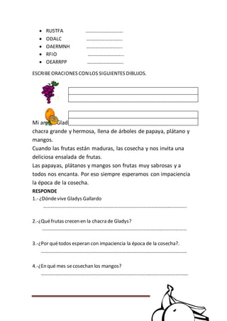 Página 43
 RUSTFA …………………………
 ODALC ………………………..
 OAERMNH ………………………..
 RFIO ………………………..
 OEARRPP ………………………..
ESCRIBEORACIONES CONLOS SIGUIENTES DIBUJOS.
LA CHACRA
Mi amiga Gladis Gallardo vive en Pacapucro. Ella tiene una
chacra grande y hermosa, llena de árboles de papaya, plátano y
mangos.
Cuando las frutas están maduras, las cosecha y nos invita una
deliciosa ensalada de frutas.
Las papayas, plátanos y mangos son frutas muy sabrosas y a
todos nos encanta. Por eso siempre esperamos con impaciencia
la época de la cosecha.
RESPONDE
1.- ¿Dóndevive Gladys Gallardo
……………………………………………………………………………………………………..
2.-¿Quéfrutas crecen en la chacra de Gladys?
………………………………………………………………………………………………………
3.-¿Por quétodos esperan con impaciencia la época de la cosecha?.
……………………………………………………………………………………………………….
4.-¿En qué mes secosechan los mangos?
………………………………………………………………………………………………………..
 
