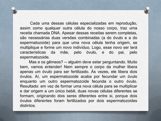 Cada uma dessas células especializadas em reprodução,
assim como qualquer outra célula do nosso corpo, traz uma
receita chamada DNA. Apesar dessas receitas serem completas,
são necessárias duas versões combinadas (a do óvulo e a do
espermatozoide) para que uma nova célula tenha origem, se
multiplique e forme um novo indivíduo. Logo, esse novo ser terá
características da mãe, pelo óvulo, e do pai, pelo
espermatozoide.
Mas e os gêmeos? -- alguém deve estar perguntando. Muito
bem, vamos entender! Nem sempre o corpo da mulher libera
apenas um óvulo para ser fertilizado. Às vezes, ele libera dois
óvulos. Aí, um espermatozoide acaba por fecundar um óvulo
enquanto um outro espermatozoide fecunda o outro óvulo.
Resultado: em vez de formar uma nova célula para se multiplicar
e dar origem a um único bebê, duas novas células diferentes se
formam, originando dois seres diferentes entre si, porque dois
óvulos diferentes foram fertilizados por dois espermatozoides
distintos.
 