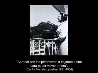 “Aprendí con las primaveras a dejarme podar
para poder volver entera”.
(Cecilia Meireles, poetisa 1901-1964).
 