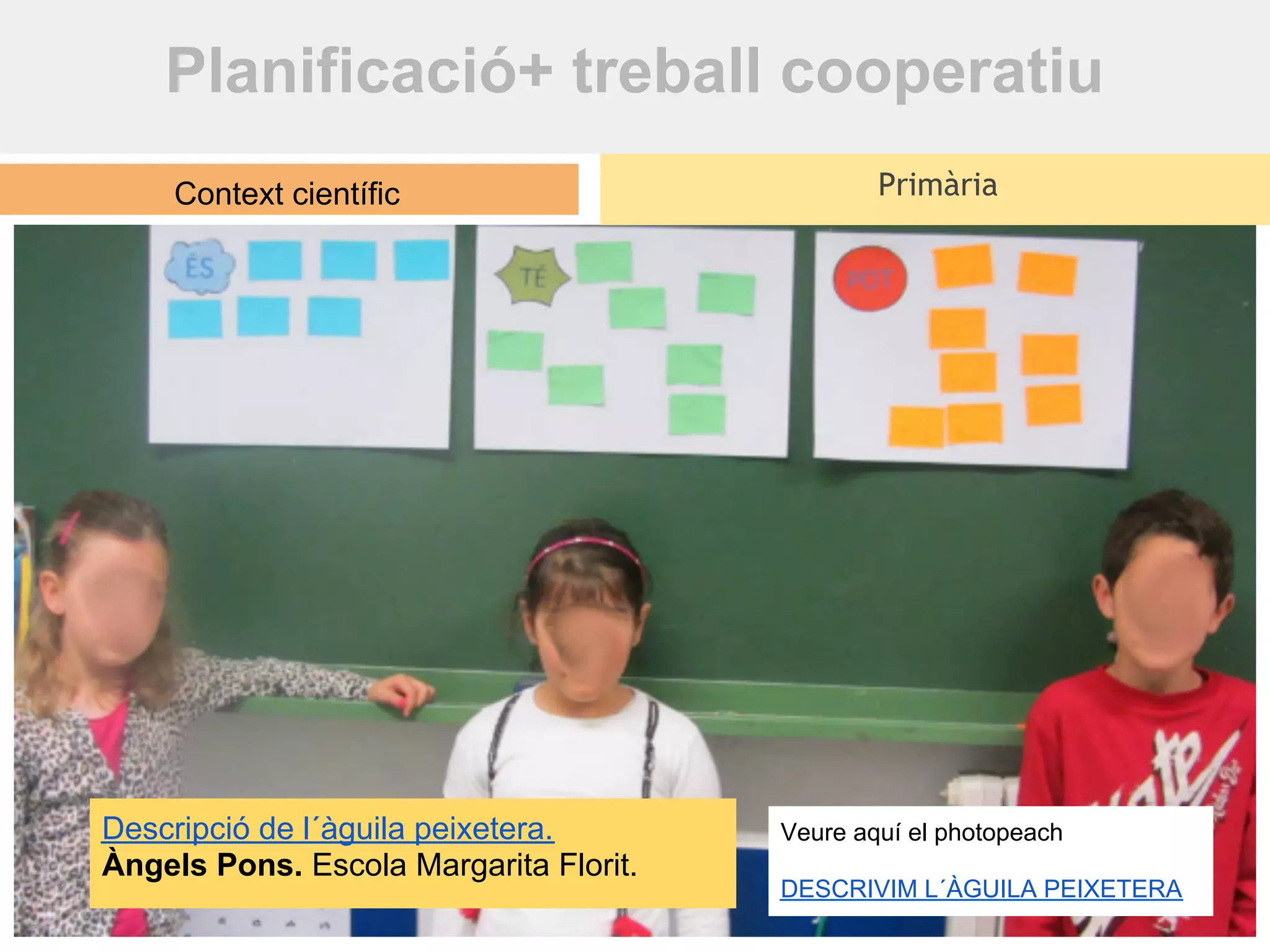 Planificació+ treball cooperatiu
    Context científic                           Primària




Descripció de l´àguila peixetera.       Veure aquí el photopeach
Àngels Pons. Escola Margarita Florit.
                                        DESCRIVIM L´ÀGUILA PEIXETERA
 
