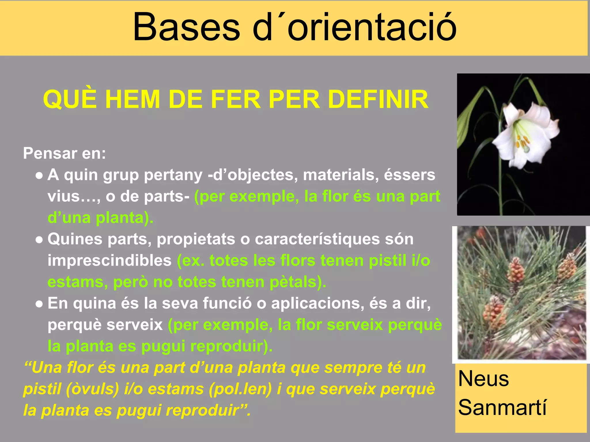 Bases d´orientació
  QUÈ HEM DE FER PER DEFINIR

Pensar en:
  ● A quin grup pertany -d’objectes, materials, éssers
    vius…, o de parts- (per exemple, la flor és una part
    d’una planta).
  ● Quines parts, propietats o característiques són
    imprescindibles (ex. totes les flors tenen pistil i/o
    estams, però no totes tenen pètals).
  ● En quina és la seva funció o aplicacions, és a dir,
    perquè serveix (per exemple, la flor serveix perquè
    la planta es pugui reproduir).
“Una flor és una part d’una planta que sempre té un
pistil (òvuls) i/o estams (pol.len) i que serveix perquè    Neus
la planta es pugui reproduir”.                              Sanmartí
 