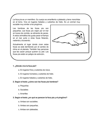 La foca pía es un mamífero. Su cuerpo es amarillento o plateado y tiene manchitas
en el lomo. Vive en lugares helados y cubiertos de hielo. Es un animal muy
sociable muy similar a los pingüinos.
Las hembras de las focas pia son
pequeñas. Las focas pía viajan por el mar
en busca de comida, se alimenta de peces.
A estos animalitos les gusta pasar el tiempo
en el mar junto a otras focas flotando,
nadando y buceando.
Actualmente el lugar donde viven estas
focas se está derritiendo por el cambio de
clima en el planeta. También hay personas
que las cazan porque quieren su piel. Las
focas pía están en peligro de extinción.
1. ¿Dónde vive la foca pia?
a. En lugares fríos y cubiertos de nieve.
b. En lugares húmedos y cubiertos de hielo.
c. En lugares helados y cubiertos de hielo.
2. Según el texto ¿cómo son las focas pía hembras?
a. Pequeñas
b. Sociables
c. Amarillas
3. Según el texto ¿en qué se parecen la foca pía y el pingüino?
a. Ambas son sociables.
b. Ambas son pequeñas.
c. Ambas son plateadas.
 