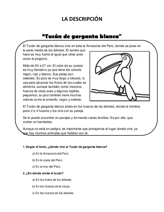 Resultado de imagen de textos descriptivos