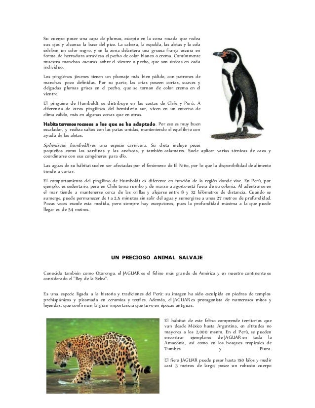 Textos descriptivos animales