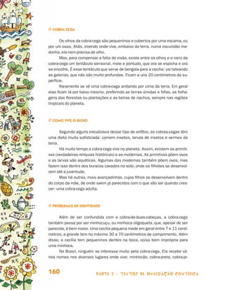 parte 3 - TEXTOS DE DIVULGAÇÃO CIENTÍFICA160
j Cobra-cega
Os olhos da cobra-cega são pequeninos e cobertos por uma escama, ou
por um osso. Aliás, vivendo onde vive, embaixo da terra, numa escuridão me-
donha, ela nem precisa de olho.
Mas, para compensar a falta de visão, existe entre os olhos e o nariz da
cobra-cega um tentáculo sensorial, mole e pontudo, que ora se espicha e ora
se encolhe. É esse tentáculo que serve de bengala para a cecília: vai tateando
as galerias, que não são muito profundas. Ficam a uns 20 centímetros da su-
perfície.
Raramente se vê uma cobra-cega andando por cima da terra. Em geral
elas ficam lá por baixo mesmo, preferindo as terras úmidas e fofas, as folha-
gens das florestas ou plantações e as beiras de riachos, sempre nas regiões
tropicais do planeta.
j Como vive o bicho
Segundo alguns estudiosos desse tipo de anfíbio, as cobras-cegas têm
uma dieta muito sofisticada: comem insetos, larvas de insetos e vermes da
terra.
Há muito tempo a cobra-cega vive no planeta. Assim, existem as primiti-
vas (verdadeiras relíquias históricas) e as modernas. As primitivas põem ovos
e as larvas são aquáticas. Algumas das modernas também põem ovos, mas
fazem isso dentro dos buracos cavados no solo, onde os filhotes se desenvol-
vem até a juventude.
Mas há outras, mais avançadinhas, cujos filhos se desenvolvem dentro
do corpo da mãe, de onde saem já parecidos com o que vão ser quando cres-
cer: uma cobra-cega adulta.
j Problemas de identidade
Além de ser confundida com a cobra-de-duas-cabeças, a cobra-cega
tam­bém passa por ser minhocuçu, ou minhoca oligoqueta, que, apesar de ser
parecida, é bem maior. Uma cecília pequena mede em geral entre 7 e 11 centí-
metros; a grande tem no máximo 30 a 70 centímetros de comprimento. Além
disso, a cecília tem pequeninos dentes na boca, coisa bem imprópria para
uma minhoca.
No Brasil, ninguém se interessa muito pela cobra-cega. Ela recebe vá-
rios nomes nos diversos lugares onde vive: minhocão, cobra-preta, cobra-pi-
Livro de Textos_Aluno.indd 160 2009-11-05 15:37
 