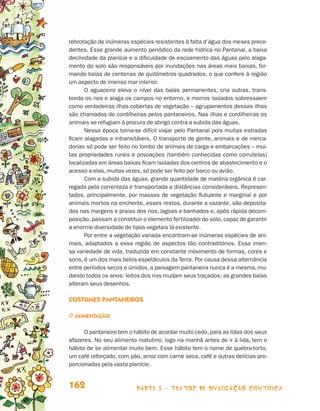 parte 3 - TEXTOS DE DIVULGAÇÃO CIENTÍFICA162
rebrotação de inúmeras espécies resistentes à falta d’água dos meses prece-
dentes. Esse grande aumento periódico da rede hídrica no Pantanal, a baixa
declividade da planície e a dificuldade de escoamento das águas pelo alaga-
mento do solo são responsáveis por inundações nas áreas mais baixas, for-
mando baías de centenas de quilômetros quadrados, o que confere à região
um aspecto de imenso mar interior.
O aguaceiro eleva o nível das baías permanentes, cria outras, trans-
borda os rios e alaga os campos no entorno, e morros isolados sobressaem
como verdadeiras ilhas cobertas de vegetação – agrupamentos dessas ilhas
são chamados de cordilheiras pelos pantaneiros. Nas ilhas e cordilheiras os
animais se refugiam à procura de abrigo contra a subida das águas.
Nessa época torna-se difícil viajar pelo Pantanal pois muitas estradas
ficam alagadas e intransitáveis. O transporte de gente, animais e de merca-
dorias só pode ser feito no lombo de animais de carga e embarcações – mui-
tas propriedades rurais e povoações (também conhecidas como corrutelas)
localizadas em áreas baixas ficam isoladas dos centros de abastecimento e o
acesso a elas, muitas vezes, só pode ser feito por barco ou avião.
Com a subida das águas, grande quantidade de matéria orgânica é car-
regada pela correnteza e transportada a distâncias consideráveis. Represen-
tados, principalmente, por massas de vegetação flutuante e marginal e por
animais mortos na enchente, esses restos, durante a vazante, são deposita-
dos nas margens e praias dos rios, lagoas e banhados e, após rápida decom-
posição, passam a constituir o elemento fertilizador do solo, capaz de garantir
a enorme diversidade de tipos vegetais lá existente.
Por entre a vegetação variada encontram-se inúmeras espécies de ani-
mais, adaptados a essa região de aspectos tão contraditórios. Essa imen-
sa variedade de vida, traduzida em constante movimento de formas, cores e
sons, é um dos mais belos espetáculos da Terra. Por causa dessa alternância
entre períodos secos e úmidos, a paisagem pantaneira nunca é a mesma, mu-
dando todos os anos: leitos dos rios mudam seus traçados; as grandes baías
alteram seus desenhos.
Costumes pantaneiros
j Alimentação
O pantaneiro tem o hábito de acordar muito cedo, para as lidas dos seus
afazeres. No seu alimento matutino, logo na manhã antes de ir à lida, tem o
hábito de se alimentar muito bem. Esse hábito tem o nome de quebra-torto,
um café reforçado, com pão, arroz com carne seca, café e outras delícias pro-
porcionadas pela vasta planície.
Livro de Textos_Aluno.indd 162 2009-11-05 15:37
 