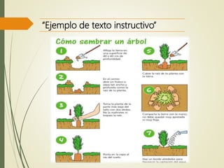 “Ejemplo de texto instructivo”
 