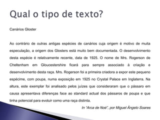 Canários Gloster
Ao contrário de outras antigas espécies de canários cuja origem é motivo de muita
especulação, a origem dos Glosters está muito bem documentada. O desenvolvimento
desta espécie é relativamente recente, data de 1925. O nome de Mrs. Rogerson de
Cheltenham em Gloucestershire ficará para sempre associado à criação e
desenvolvimento desta raça. Mrs. Rogerson foi a primeira criadora a expor este pequeno
espécime, com poupa, numa exposição em 1925 no Crystal Palace em Inglaterra. Na
altura, este exemplar foi analisado pelos juízes que consideraram que o pássaro em
causa apresentava diferenças face ao standard actual dos pássaros de poupa e que
tinha potencial para evoluir como uma raça distinta.
In “Arca de Noé”, por Miguel Ângelo Soares
 
