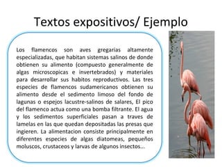 Textos expositivos/ Ejemplo
Los flamencos son aves gregarias altamente
especializadas, que habitan sistemas salinos de donde
obtienen su alimento (compuesto generalmente de
algas microscopicas e invertebrados) y materiales
para desarrollar sus habitos reproductivos. Las tres
especies de flamencos sudamericanos obtienen su
alimento desde el sedimento limoso del fondo de
lagunas o espejos lacustre-salinos de salares, El pico
del flamenco actua como una bomba filtrante. El agua
y los sedimentos superficiales pasan a traves de
lamelas en las que quedan depositadas las presas que
ingieren. La alimentacion consiste principalmente en
diferentes especies de algas diatomeas, pequeños
moluscos, crustaceos y larvas de algunos insectos...
 