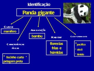 Identificação Panda gigante Classe Características físicas Alimentação Habitat Comportamento mamífero *  focinho curto  * pelagem preta bambu * pacífico * dócil  * tímido florestas frias e húmidas 