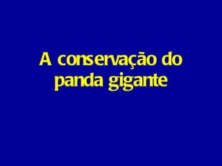 A conservação do panda gigante 