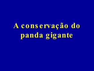 A conservação do panda gigante 