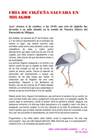 CRÍA DE CIGÜEÑA SALVADA EN
MILAGRO

Ayer viernes, 6 de octubre, a las 15:45, una cría de cigüeña fue
devuelta a su nido si...