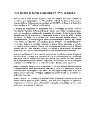 Nova espécie de bambu descoberta em RPPN da Cenibra
Batizada com o nome Eremitis magnifica, uma nova espécie de bambu herbáceo foi
encontrada por pesquisadores da Universidade Federal da Bahia e Universidade
Estadual de Feira de Santana em propriedade da CENIBRA, na Reserva de Patrimônio
Particular Natural (RPPN) Fazenda Macedônia.
O registro da descoberta foi oficializado com a publicação na revista científica
internacional Phytotaxa, da Nova Zelândia. De acordo com o artigo publicado, a espécie
pode ser considerada criticamente ameaçada de extinção, devido à sua raridade,
pequeno número de exemplares e ocorrência restrita a área da RPPN Fazenda
Macedônia. O artigo foi publicado pelo doutor Fabrício Moreira Ferreira, do
Departamento de Ciências Biológicas da Universidade Estadual de Feira de Santana,
com a participação de outros pesquisadores. Desde 2008 eles vêm realizando estudos
envolvendo filogenia e genética molecular, anatomia foliar, palinologia e estudos
morfológicos sobre o gênero Eremitis, que apresenta distribuição restrita à Floresta
Atlântica na costa Leste do Brasil. Entre as 18 novas espécies de Eremitis encontradas
e descritas, uma possuía características únicas, que as diferenciava das demais.
Após um aprofundamento dos estudos confirmou-se e publicou-se essa descoberta
científica. A descoberta de uma nova espécie é de extrema relevância para a ciência e
pode trazer diversos benefícios para toda a sociedade. Grande parte dos medicamentos
utilizados pela humanidade é extraída de plantas e a descoberta de uma nova espécie
amplia as possibilidades na busca pelo tratamento de doenças ainda incuráveis.
Após a publicação da descoberta, uma equipe do Departamento de Meio Ambiente e
Qualidade realizou novos levantamentos na Fazenda Macedônia e identificou cerca de
60 indivíduos da nova espécie. Trata-se de uma população muito pequena e, por esse
motivo, a equipe elaborou estratégias e ações para garantir a proteção e conservação
da Eremitis magnifica.
A descoberta de uma nova espécie é um indicativo da elevada qualidade ambiental do
manejo florestal praticado pela CENIBRA, que, pelo baixo impacto das operações
florestais e por conservar áreas extensas com vegetação nativa, abriga espécies raras,
endêmicas e ameaçadas de extinção.

 