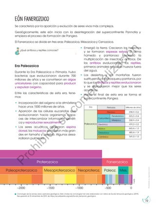 Prohibida
su
reproducción
19
Era Paleozoica
Durante la Era Paleozoica o Primaria, hubo
bacterias que evolucionaron durante 700
millones de años y se convirtieron en algas
unicelulares con capacidad para producir
y expulsar oxígeno.
Entre las características de esta era, tene-
mos:
•	 Incorporación del oxígeno a la atmósfera
hace unos 1500 millones de años.
•	Aparición de las células eucariotas que
evolucionaron hacia organismos capa-
ces de intercambiar información genéti-
ca y reproducirse sexualmente.
•	Los seres acuáticos generaron espina
dorsal, los moluscos se hicieron más gran-
des en tamaño y cerebro. Algunos desa-
rrollaron pulmones.
Se caracteriza por la aparición y evolución de seres vivos más complejos.
Geológicamente, este eón inicia con la desintegración del supercontinente Pannotia y
empieza el proceso de formación de Pangea.
El Fanerozoico se divide en tres eras: Paleozoica, Mesozoica y Cenozoica.
Eón Fanerozoico
298,9 0,2
323,2 0,4
358,9 0,4
419,2 3,2
443,4 1,5
485,4 1,9
541,0 1,0
Era Períodos
+
–
+
–
+
–
+
–
+
–
+
–
+
–
Millones de años
Paleozoico
Pérmico
Carbonífero
Devónico
Silúrico
Ordovícico
Cámbrico
Pensilvánico
Misisípico
©edb
•	Emergió la tierra. Crecieron los helechos
y se formaron espesas selvas. El clima
húmedo y pantanoso favoreció la
multiplicación de insectos y anfibios. De
los anfibios evolucionaron los reptiles,
primeros animales en poner huevos fuera
del agua.
•	
Los desiertos y las montañas fueron
sustituyendo a los bosques y pantanos, por
lo que los anfibios y reptiles evolucionaron
y se reprodujeron mejor que los seres
acuáticos.
•	Hacia el final de esta era se forma el
supercontinente Pangea.
Cronología de los eones, eras y períodos geológicos. Este y todas las cronologías han sido elaborados con datos de Escala temporal geológica. (2019).
Recuperado el 23 diciembre de 2019, de https://es.wikipedia.org/wiki/Escala_temporal_geológica
–2000 –1500 –1000 –500 0
Proterozoico Fanerozoico
Paleoproterozoico Mesoproterozoico Neoproteroz. Paleoz. Mes.
¿Qué anfibios y reptiles conoces?
P
r
o
h
i
b
i
d
a
s
u
c
o
m
e
r
c
i
a
l
i
z
a
c
i
ó
n
 