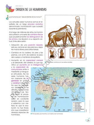 Prohibida
su
reproducción
29
Los actuales seres humanos somos el re-
sultado de un largo proceso evolutivo
denominado hominización que sucedió
durante la prehistoria.
A lo largo de millones de años, los homíni-
dos sufrieron una serie de cambios físicos
que paulatinamente los distinguieron de
los simios y los llevaron a su aspecto ac-
tual. Entre ellos están:
•	Adopción de una posición bípeda;
esto es, caminar en dos piernas y dejar
las manos libres para otras tareas.
•	Cambios en la cadera, los pies y las
piernas, con el fin de sostener el peso
del cuerpo y mantener el equilibrio.
•	Aumento en la capacidad craneal
y el desarrollo del cerebro, lo que sig-
nificó un aumento en la inteligencia
y la capacidad de
comunicarse entre sí
mediante un lengua-
je articulado. Así, los
seres humanos fue-
ron capaces de or-
ganizase en grupos
y construir instrumen-
tos que les permitie-
ron adaptarse a las
difíciles condiciones
climáticas. Las teo-
rías sobre el proce-
so de hominización
están en constante
revisión, pero lo que
sí sabemos con cer-
teza es que la evo-
lución no fue lineal,
sino que coexistieron
diversas especies de
homínidos.
ORIGEN DE LA HUMANIDAD
Principales cambios en las extremidades
Principales yacimientos con restos de homínidos
©edb
©edb
DCD CS.4.1.2
¿Los humanos son “descendientes de los monos”?
P
r
o
h
i
b
i
d
a
s
u
c
o
m
e
r
c
i
a
l
i
z
a
c
i
ó
n
 