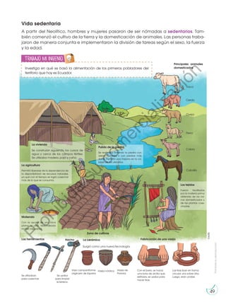 Prohibida
su
reproducción
49
Vida sedentaria
A partir del Neolítico, hombres y mujeres pasaron de ser nómadas a sedentarios. Tam-
bién comenzó el cultivo de la tierra y la domesticación de animales. Las personas traba-
jaron de manera conjunta e implementaron la división de tareas según el sexo, la fuerza
y la edad.
Las herramientas Fabricación de una vasija
La cerámica
Hacha
Se utilizaban
para cosechar.
Surgió como una nueva tecnología.
Se usaba
para limpiar
el terreno.
Vaso campaniforme
originario de España
Con el barro, se hacía
una bola de arcilla que,
estirada, se usaba para
hacer tiras.
Las tiras iban en forma
circular una sobre otra.
Luego, eran unidas.
Vasija de
Polonia
Vasija nórdica
La vivienda
Se construían siguiendo los cursos de
agua y cerca de los campos fértiles.
Se utilizaba madera, paja y caña.
La agricultura
Permitió liberarse de la dependencia de
la disponibilidad de recursos naturales,
ya que con el tiempo se logró cosechar
más de lo que se consumía.
Pulido de la piedra
Se realizaba frotando la piedra con
arena húmeda o con piedras más
duras. Permitió una mejoría en la ca-
lidad de los utensilios.
Molienda
Con la ayuda de una roca
plana y otra redondeada
molían los granos.
Los tejidos
Fueron facilitados
por la materia prima
obtenida de los ovi-
nos domesticados y
de las plantas cose-
chadas.
Vaca
Cerdo
Oveja
Perro
Caballo
Cabra
Zona de cultivos
Principales animales
domesticados
Investiga en qué se basó la alimentación de los primeros pobladores del
territorio que hoy es Ecuador.
Trabajo mi ingenio
E
N
G
R
UPO
Y
T
A
M
B
IÉN
T
I
C
S
R
E
C
O
R
T
A
BLES
C
A
L
C
U
L
A
DORA
©edb
P
r
o
h
i
b
i
d
a
s
u
c
o
m
e
r
c
i
a
l
i
z
a
c
i
ó
n
 