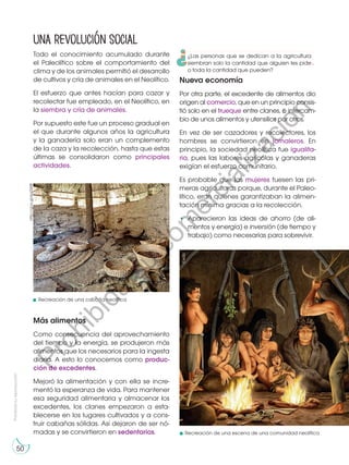 Prohibida
su
reproducción
50
Una revolución social
Todo el conocimiento acumulado durante
el Paleolítico sobre el comportamiento del
clima y de los animales permitió el desarrollo
de cultivos y cría de animales en el Neolítico.
El esfuerzo que antes hacían para cazar y
recolectar fue empleado, en el Neolítico, en
la siembra y cría de animales.
Por supuesto este fue un proceso gradual en
el que durante algunos años la agricultura
y la ganadería solo eran un complemento
de la caza y la recolección, hasta que estas
últimas se consolidaron como principales
actividades.
Más alimentos
Como consecuencia del aprovechamiento
del tiempo y la energía, se produjeron más
alimentos que los necesarios para la ingesta
diaria. A esto lo conocemos como produc-
ción de excedentes.
Mejoró la alimentación y con ella se incre-
mentó la esperanza de vida. Para mantener
esa seguridad alimentaria y almacenar los
excedentes, los clanes empezaron a esta-
blecerse en los lugares cultivados y a cons-
truir cabañas sólidas. Así dejaron de ser nó-
madas y se convirtieron en sedentarios.
Nueva economía
Por otra parte, el excedente de alimentos dio
origen al comercio, que en un principio consis-
tió solo en el trueque entre clanes, o intercam-
bio de unos alimentos y utensilios por otros.
En vez de ser cazadores y recolectores, los
hombres se convirtieron en jornaleros. En
principio, la sociedad neolítica fue igualita-
ria, pues las labores agrícolas y ganaderas
exigían el esfuerzo comunitario.
Es probable que las mujeres fuesen las pri-
meras agricultoras porque, durante el Paleo-
lítico, eran quienes garantizaban la alimen-
tación mínima gracias a la recolección.
•	Aparecieron las ideas de ahorro (de ali-
mentos y energía) e inversión (de tiempo y
trabajo) como necesarias para sobrevivir.
http://goo.gl/eg2W8l
http://goo.gl/YQxVfd
Recreación de una escena de una comunidad neolítica
Recreación de una cabaña neolítica
©edb
¿Las personas que se dedican a la agricultura
siembran solo la cantidad que alguien les pide
o toda la cantidad que pueden?
P
r
o
h
i
b
i
d
a
s
u
c
o
m
e
r
c
i
a
l
i
z
a
c
i
ó
n
 