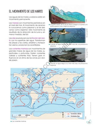 Prohibida
su
reproducción
53
Las aguas de los mares y océanos están en
movimiento permanente.
Las mareas son movimientos periódicos en
el nivel del mar. Al movimiento de ascenso
lo conocemos como pleamar y al de des-
censo como bajamar. Este movimiento es
resultado de la atracción de la Luna y, en
menor medida, del Sol.
Las olas se producen por la fricción del vien-
to con la superficie del agua. Transforman
las playas y las costas, arrastran y transpor-
tan arena y erosionan los acantilados.
Las corrientes marinas son movimientos de
grandes masas de agua de los mares, su-
perficiales o profundas. Existen corrientes
cálidas y corrientes frías. Tienen gran in-
fluencia en el clima de las zonas por don-
de pasan.
Elmovimientodelosmares
http://goo.gl/77lPUv
http://goo.gl/zltz0Z
La parte inferior de la ola se frena al llegar a la playa y la
parte superior cae y origina la espuma.
Cuando el agua llega a su nivel más bajo, se produce la
bajamar.
Las corrientes marinas
Cuando el agua llega a su nivel más alto, se produce la
pleamar.
©edb
©edb
P
r
o
h
i
b
i
d
a
s
u
c
o
m
e
r
c
i
a
l
i
z
a
c
i
ó
n
 