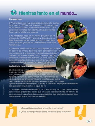 Prohibida
su
reproducción
65
?
?•	 ¿Por qué la Amazonía se encuentra amenazada?
•	 ¿Cuál es la importancia del río Amazonas para el mundo?
Mientras tanto en el mundo...
http://goo.gl/PNeimH
65
El Amazonas
El Amazonas es el río más caudaloso del mundo. Su cuenca
tiene más de 7 000 000 km2. Aporta tal cantidad de agua
en su desembocadura en el Atlántico que provoca que,
doscientos kilómetros mar adentro, el agua sea dulce.
Tiene más de 6200 km de longitud.
El río Amazonas nace en los Andes peruanos de la
unión de los ríos Marañón y Ucayali, y desemboca en
Brasil. Transcurre paralelo a la línea del Ecuador y tiene
como afluentes grandes ríos del hemisferio norte y del
hemisferio sur.
El nivel de sus aguas oscila poco a lo largo del año porque
las épocas de lluvias y de sequía no se corresponden en los
dos hemisferios. Si se producen grandes lluvias, el desbor-
damiento del río puede llegar a inundar tierras alejadas
doscientos kilómetros de sus riberas. La parte baja del
curso del río está cubierta por una selva muy densa,
considerada la mayor reserva ecológica del planeta.
Un territorio bajo presión
La Amazonía supone un tercio del total de los bosques
tropicales del planeta. Este territorio se encuentra bajo
una gran presión a causa de los intentos por explotar sus
riquezas naturales. Su conservación y su supervivencia es-
tán en peligro por diversos motivos: la explotación de la ma-
dera y de los recursos del subsuelo, el asentamiento de colonos
agrícolas que talan la selva para cultivar y el desarrollo de proyectos hidroeléctri-
cos que quieren aprovechar el agua del río.
La envergadura de la deforestación de la Amazonía y sus consecuencias no se
conocen con exactitud. Se estima que en 1990 se habían destruido 400 000 km2 de
selva, una décima parte de la cuenca amazónica, que equivaldría, aproximada-
mente, a la superficie de la península ibérica.
h
t
t
p
:
/
/
g
o
o
.
g
l
/
d
A
T
k
o
8
h
t
t
p
s
:
/
/
g
o
o
.
g
l
/
Q
C
X
0
T
x
P
r
o
h
i
b
i
d
a
s
u
c
o
m
e
r
c
i
a
l
i
z
a
c
i
ó
n
 