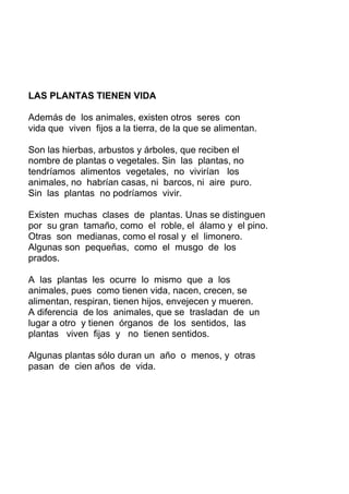 LAS PLANTAS TIENEN VIDA
Además de los animales, existen otros seres con
vida que viven fijos a la tierra, de la que se alimentan.
Son las hierbas, arbustos y árboles, que reciben el
nombre de plantas o vegetales. Sin las plantas, no
tendríamos alimentos vegetales, no vivirían los
animales, no habrían casas, ni barcos, ni aire puro.
Sin las plantas no podríamos vivir.
Existen muchas clases de plantas. Unas se distinguen
por su gran tamaño, como el roble, el álamo y el pino.
Otras son medianas, como el rosal y el limonero.
Algunas son pequeñas, como el musgo de los
prados.
A las plantas les ocurre lo mismo que a los
animales, pues como tienen vida, nacen, crecen, se
alimentan, respiran, tienen hijos, envejecen y mueren.
A diferencia de los animales, que se trasladan de un
lugar a otro y tienen órganos de los sentidos, las
plantas viven fijas y no tienen sentidos.
Algunas plantas sólo duran un año o menos, y otras
pasan de cien años de vida.
 