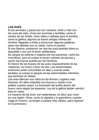 LAS AVES
Si los animales y peces son tan variados, tanto o más son
las aves del cielo. Unas son enormes y temibles, como el
cóndor de los Andes; otras útiles y valiosas para el hombre,
como la gallina; algunas se hacen amigas íntimas del
hombre, llegando a imitar y pronunciar algunas palabras;
otras nos deleitan con su canto, como el canario.
Si nos fijamos, podremos ver que las aves también tiene un
esqueleto y son por lo tanto vertebrados.
Su sangre es caliente y respiran por los pulmones, como los
mamíferos, pero el cuerpo lo tienen cubierto de plumas y
nacen de huevos puesto por las hembras.
El interior de los huesos de las aves, especialmente de las
voladoras, es hueco y lleno de aire. Las extremidades
anteriores están convertidas en alas y cuando están
paradas, el cuerpo lo apoyan en las extremidades inferiores
que terminan en dedos.
Las aves fabrican sus nidos en las formas y lugares más
diversos. En ellos empollan sus huevos y cuidan a los
pollitos cuando nacen. La formación del pollito dentro del
huevo varía según las especies. Los de la gallina tardan veintiún
días en nacer.
La mayoría de las aves son sedentarias, es decir que viven
en una región. Otras, como la cigüeña y la golondrina, cuando
Llega el invierno, se dirigen a países más cálidos, para regresar
en la primavera.
 