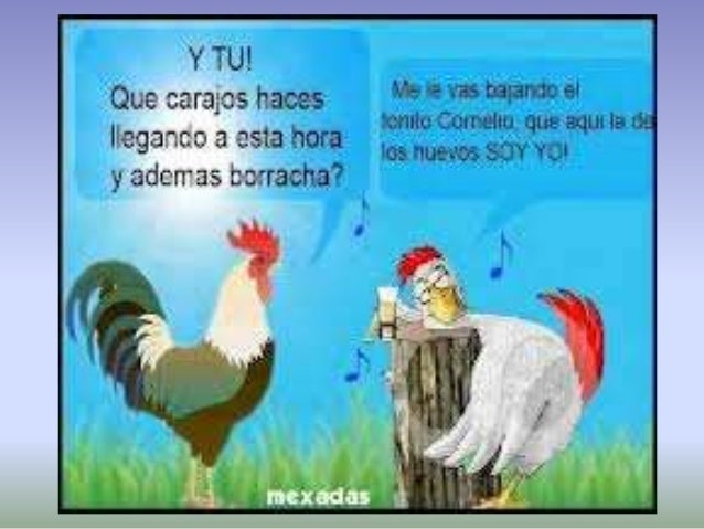 Dicho Popular Que Suele Tener Una Moraleja
