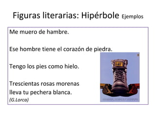 Figuras literarias: Hipérbole Ejemplos
Me muero de hambre.

Ese hombre tiene el corazón de piedra.

Tengo los pies como hielo.

Trescientas rosas morenas
lleva tu pechera blanca.
(G.Lorca)
 