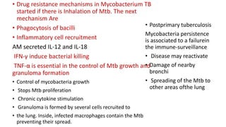 • Drug resistance mechanisms in Mycobacterium TB
started if there is Inhalation of Mtb. The next
mechanism Are
• Phagocytosis of bacilli
• Inflammatory cell recruitment
AM secreted IL-12 and IL-18
IFN-γ induce bacterial killing
TNF-α is essential in the control of Mtb growth and
granuloma formation
• Control of mycobacteria growth
• Stops Mtb proliferation
• Chronic cytokine stimulation
• Granuloma is formed by several cells recruited to
• the lung. Inside, infected macrophages contain the Mtb
preventing their spread.
• Postprimary tuberculosis
Mycobacteria persistence
is associated to a failurein
the immune-surveillance
• Disease may reactivate
• Damage of nearby
bronchi
• Spreading of the Mtb to
other areas ofthe lung
 