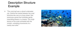 English for Academic and Professional Purposes Text Structure.pptx