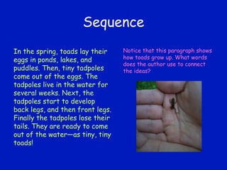 Sequence In the spring, toads lay their eggs in ponds, lakes, and puddles. Then, tiny tadpoles come out of the eggs. The tadpoles live in the water for several weeks. Next, the tadpoles start to develop back legs, and then front legs. Finally the tadpoles lose their tails. They are ready to come out of the water—as tiny, tiny toads! Notice that this paragraph shows how toads grow up. What words does the author use to connect the ideas? 