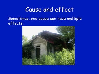 Cause and effect Sometimes, one cause can have multiple effects. 