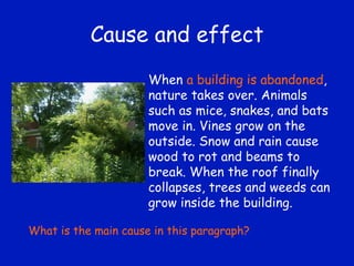 Cause and effect When  a building is abandoned , nature takes over. Animals such as mice, snakes, and bats move in. Vines grow on the outside. Snow and rain cause wood to rot and beams to break. When the roof finally collapses, trees and weeds can grow inside the building.  What is the main cause in this paragraph? 