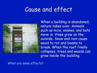 Cause and effect When a building is abandoned, nature takes over. Animals such as mice, snakes, and bats move in. Vines grow on the outside. Snow and rain cause wood to rot and beams to break. When the roof finally collapses, trees and weeds can grow inside the building.  What are some effects? 