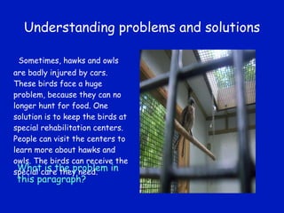 Understanding problems and solutions Sometimes, hawks and owls are badly injured by cars. These birds face a huge problem, because they can no longer hunt for food. One solution is to keep the birds at special rehabilitation centers. People can visit the centers to learn more about hawks and owls. The birds can receive the special care they need. What is the problem in this paragraph? 
