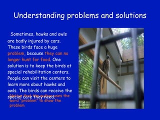 Understanding problems and solutions Sometimes, hawks and owls are badly injured by cars. These birds face a huge  problem , because  they can no longer hunt for food . One solution is to keep the birds at special rehabilitation centers. People can visit the centers to learn more about hawks and owls. The birds can receive the special care they need. Notice that the author uses the word “problem” to show the problem 