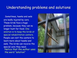 Understanding problems and solutions Sometimes, hawks and owls are badly injured by cars. These birds face a huge problem, because they can no longer hunt for food.  One solution is to keep the birds at special rehabilitation centers.  People can visit the centers to learn more about hawks and owls. The birds can receive the special care they need. Notice that the author uses the word “solution” 