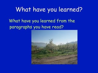 What have you learned? What have you learned from the paragraphs you have read?  