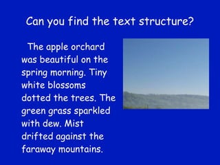 Can you find the text structure? The apple orchard was beautiful on the spring morning. Tiny white blossoms dotted the trees. The green grass sparkled with dew. Mist drifted against the faraway mountains. 