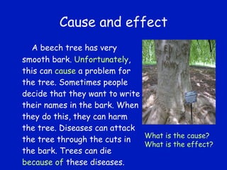 Cause and effect A beech tree has very smooth bark.  Unfortunately , this can  cause  a problem for the tree. Sometimes people decide that they want to write their names in the bark. When they do this, they can harm the tree. Diseases can attack the tree through the cuts in the bark. Trees can die  because of  these diseases. What is the cause? What is the effect? 