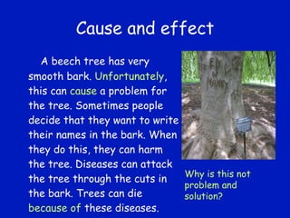Cause and effect A beech tree has very smooth bark.  Unfortunately , this can  cause  a problem for the tree. Sometimes people decide that they want to write their names in the bark. When they do this, they can harm the tree. Diseases can attack the tree through the cuts in the bark. Trees can die  because of  these diseases. Why is this not problem and solution? 