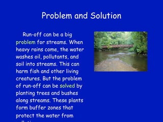 Problem and Solution Run-off can be a big  problem  for streams. When heavy rains come, the water washes oil, pollutants, and soil into streams. This can harm fish and other living creatures. But the problem of run-off can be  solved  by planting trees and bushes along streams. These plants form buffer zones that protect the water from   pollution. 
