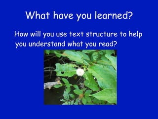 What have you learned? How will you use text structure to help you understand what you read? 