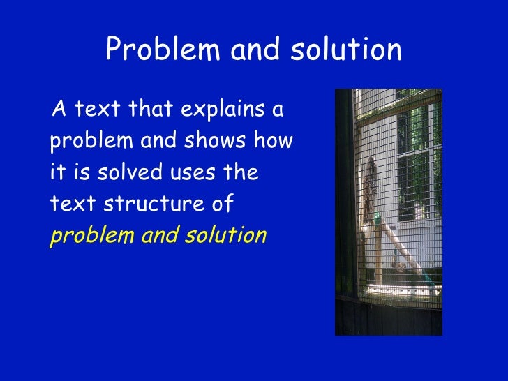 Text structure for young readers