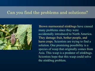 Can you find the problems and solutions?
Brown marmorated stinkbugs have caused
many problems since they were
accidentally introduced to North America.
They damage fruit, bother people, and
harm crops. Scientists are trying to find a
solution. One promising possibility is a
species of wasp that originally comes from
Asia. This wasp is a predator of stinkbugs.
Scientists hope that this wasp could solve
the stinkbug problem.
 