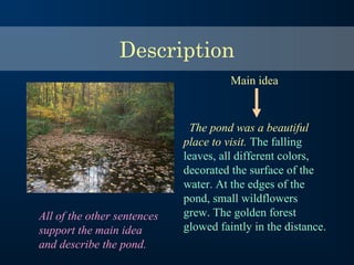 The pond was a beautiful
place to visit. The falling
leaves, all different colors,
decorated the surface of the
water. At the edges of the
pond, small wildflowers
grew. The golden forest
glowed faintly in the distance.
Main idea
All of the other sentences
support the main idea
and describe the pond.
Description
 