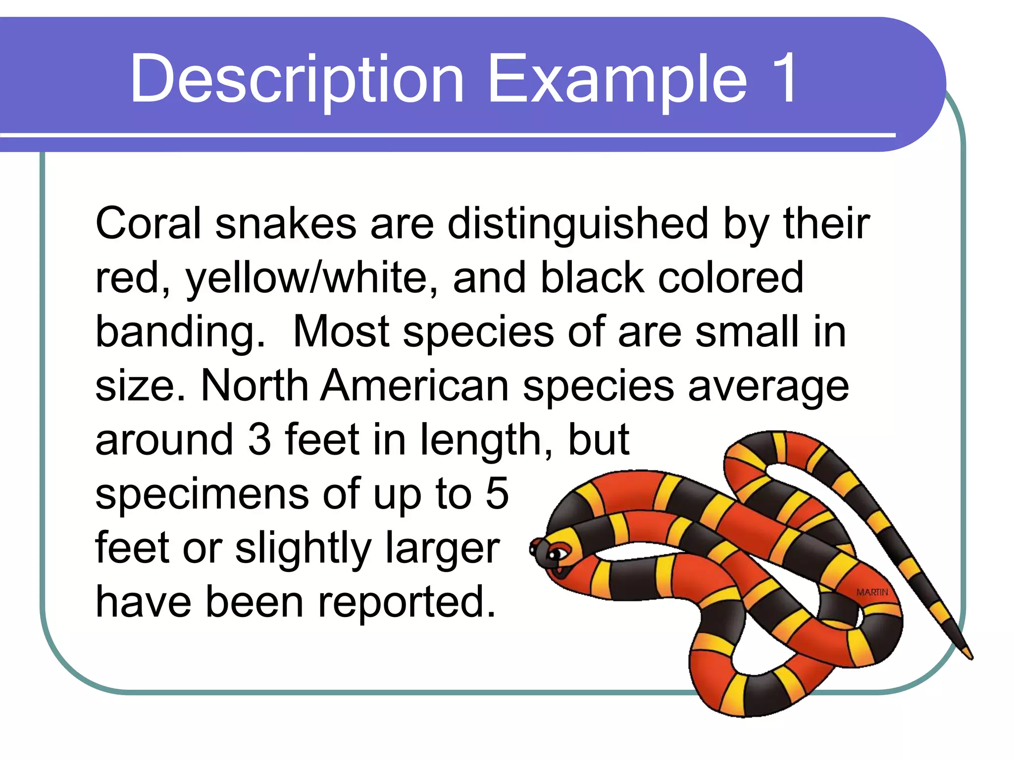 Description Example 1
Coral snakes are distinguished by their
red, yellow/white, and black colored
banding. Most species of are small in
size. North American species average
around 3 feet in length, but
specimens of up to 5
feet or slightly larger
have been reported.
 