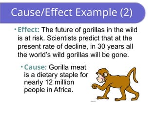 Cause/Effect Example (2)
• Effect: The future of gorillas in the wild
is at risk. Scientists predict that at the
present rate of decline, in 30 years all
the world’s wild gorillas will be gone.
• Cause: Gorilla meat
is a dietary staple for
nearly 12 million
people in Africa.
 